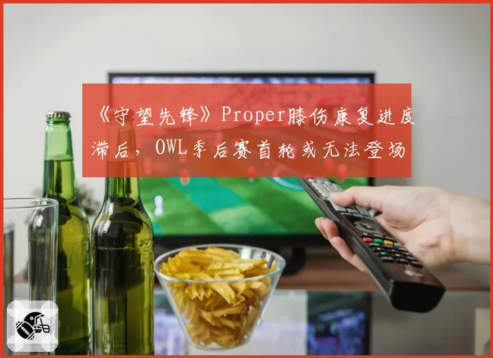 《守望先锋》Proper膝伤康复进度滞后，OWL季后赛首轮或无法登场