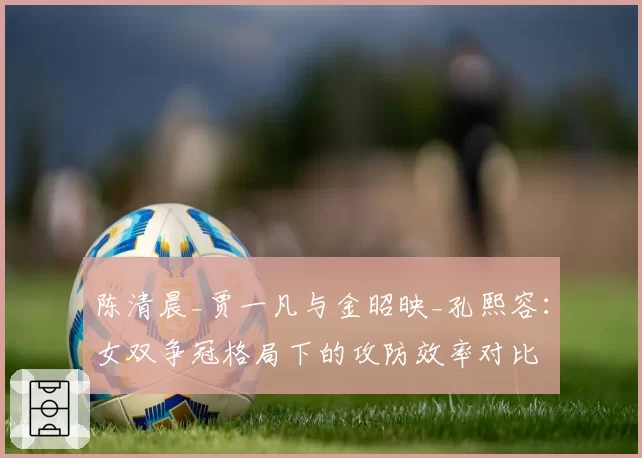 陈清晨_贾一凡与金昭映_孔熙容:女双争冠格局下的攻防效率对比