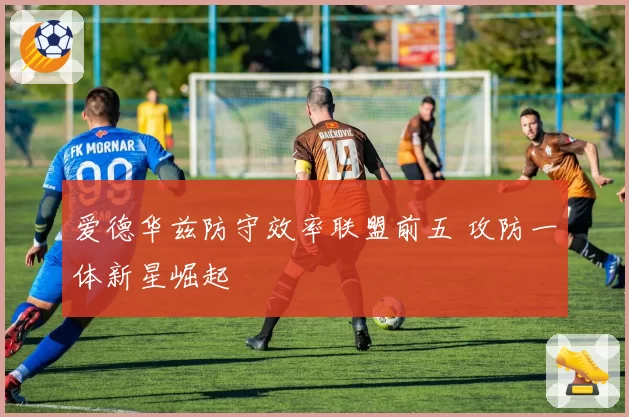 爱德华兹防守效率联盟前五 攻防一体新星崛起